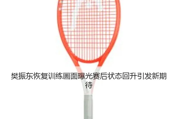 樊振东恢复训练画面曝光赛后状态回升引发新期待